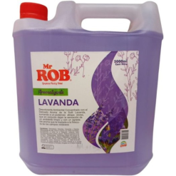 DESODORANTE MR ROB 5L 4UXC